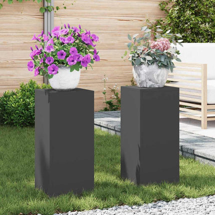 Plantenstandaard 2 Pcs Roestig 24 X 24 X 75 Cm