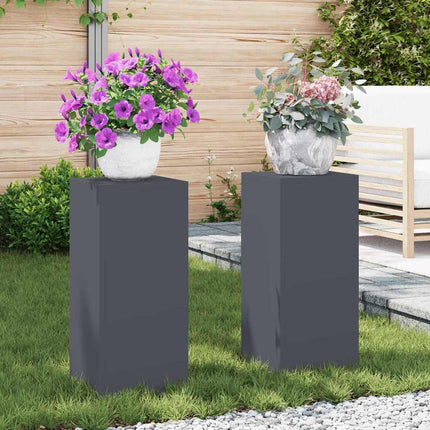 Plantenstandaard 2 Pcs Roestig 24 X 24 X 75 Cm