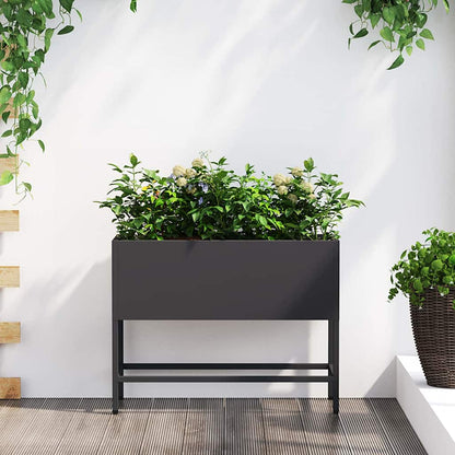 Verhoogde Tuin Plantbak Zilver