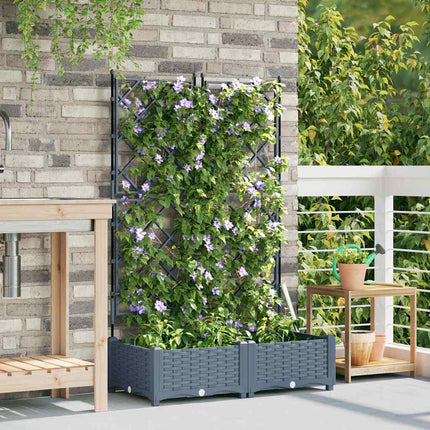 Tuin Bloempot 2 St Pp