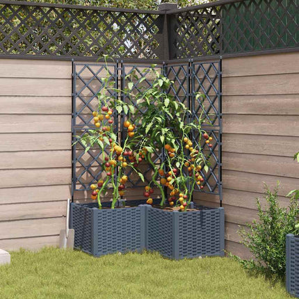 Tuin Bloempot 3 St Pp