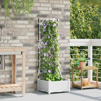 Tuin Bloempot Pp