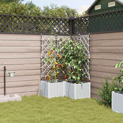 Tuin Bloempot 4 St Pp
