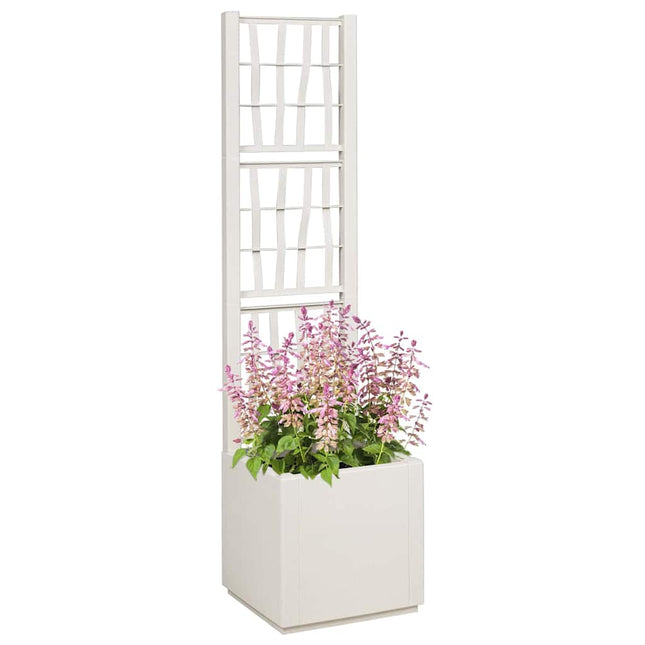 Tuindruppel Met Trellis Pp