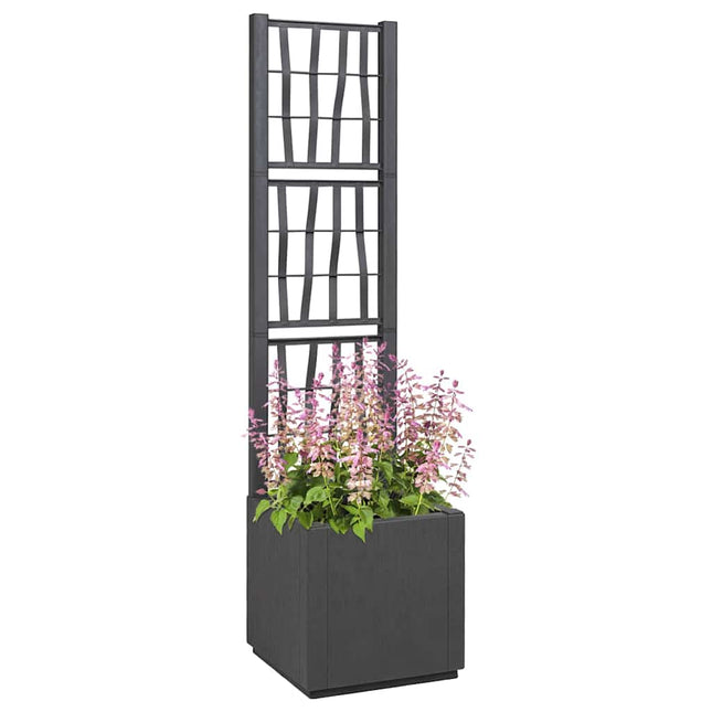 Tuindruppel Met Trellis Pp