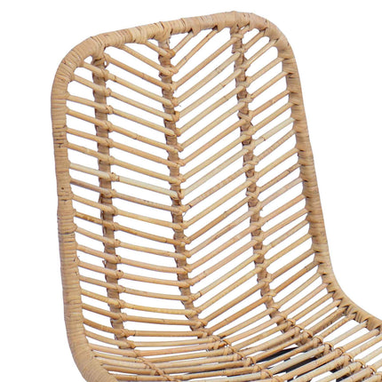 Eetkamerstoel 2 Pcs Riet En Ijzer 44,5 X 54,5 X 85 Cm