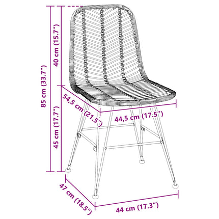 Eetkamerstoel 2 Pcs Riet En Ijzer 44,5 X 54,5 X 85 Cm