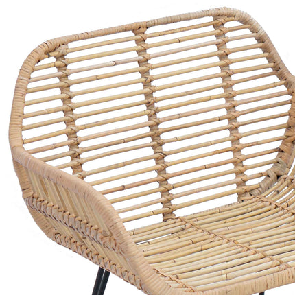 Eetkamerstoel 2 Pcs Riet En Ijzer 55 X 50 X 74 Cm