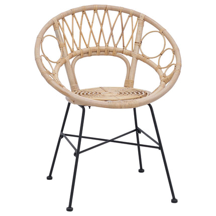 Eetkamerstoel 2 Pcs Riet En Ijzer 54 X 65 X 82 Cm