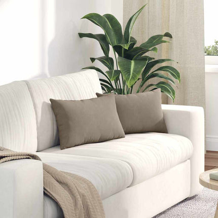 Sofa Kussens 2 Stuks 50 X 30 Cm Stof