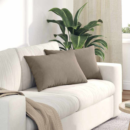 Sofa Kussens 2 Stuks 50 X 30 Cm Stof