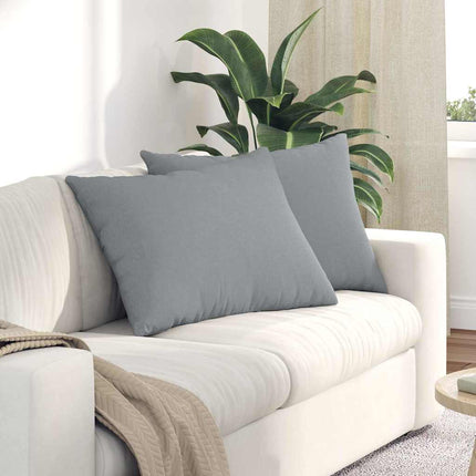Sofa Kussens 2 Pcs 50 X 30 Cm Stof Lichtgrijs
