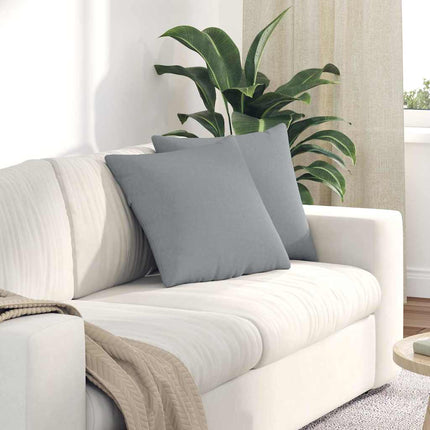 Sofa Kussens 2 Pcs 50 X 30 Cm Stof Lichtgrijs