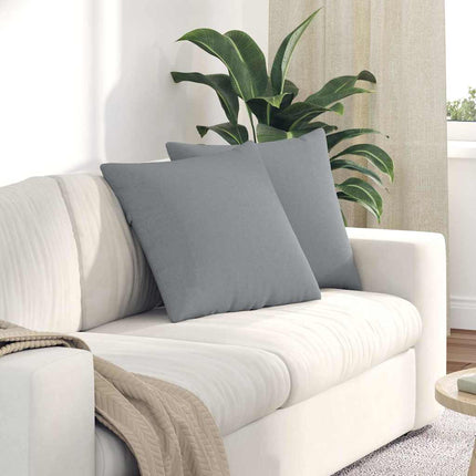 Sofa Kussens 2 Pcs 50 X 30 Cm Stof Lichtgrijs