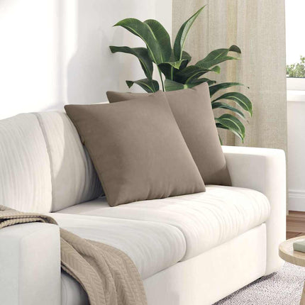 Sofa Kussens 2 Stuks 50 X 30 Cm Stof