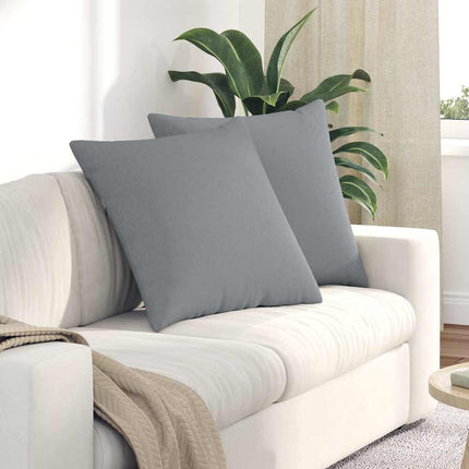Sofa Kussens 2 Pcs 50 X 30 Cm Stof Lichtgrijs