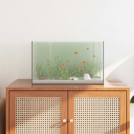 Aquarium Met Opslag Doorzichtig Glas