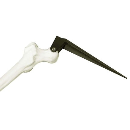Halloween Skelet Met Gronds Spikes Wit 45,5 X 13 Cm