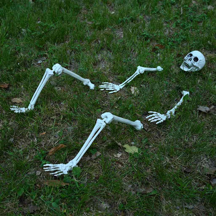 Halloween Skelet Met Gronds Spikes Wit 45,5 X 13 Cm