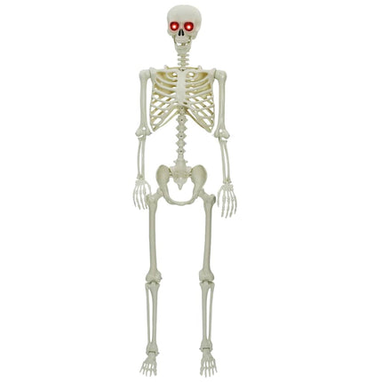 Halloween Skelet Wit 155 X 38,5 Cm Polypropyleen