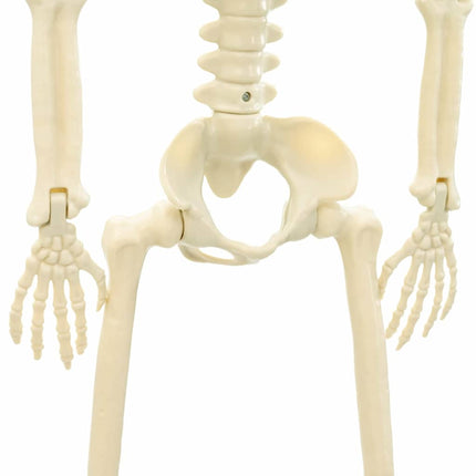 Halloween Skelet 2 St Wit 85 Cm Pvc