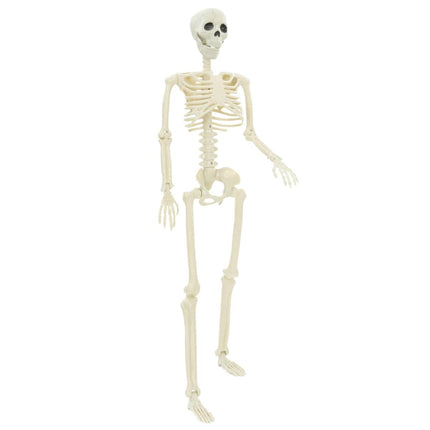Halloween Skelet 2 St Wit 85 Cm Pvc
