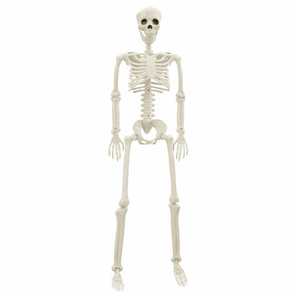 Halloween Skelet 2 St Wit 85 Cm Pvc