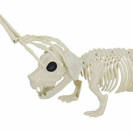Halloween Decoratie Skelet 2 St Wit 155 X 38.5 Cm Polypropyleen