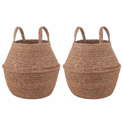 Plantenpot Met Handvatten 2 Pcs