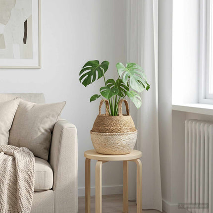 Plantenpot Met Handvatten 2 Pcs