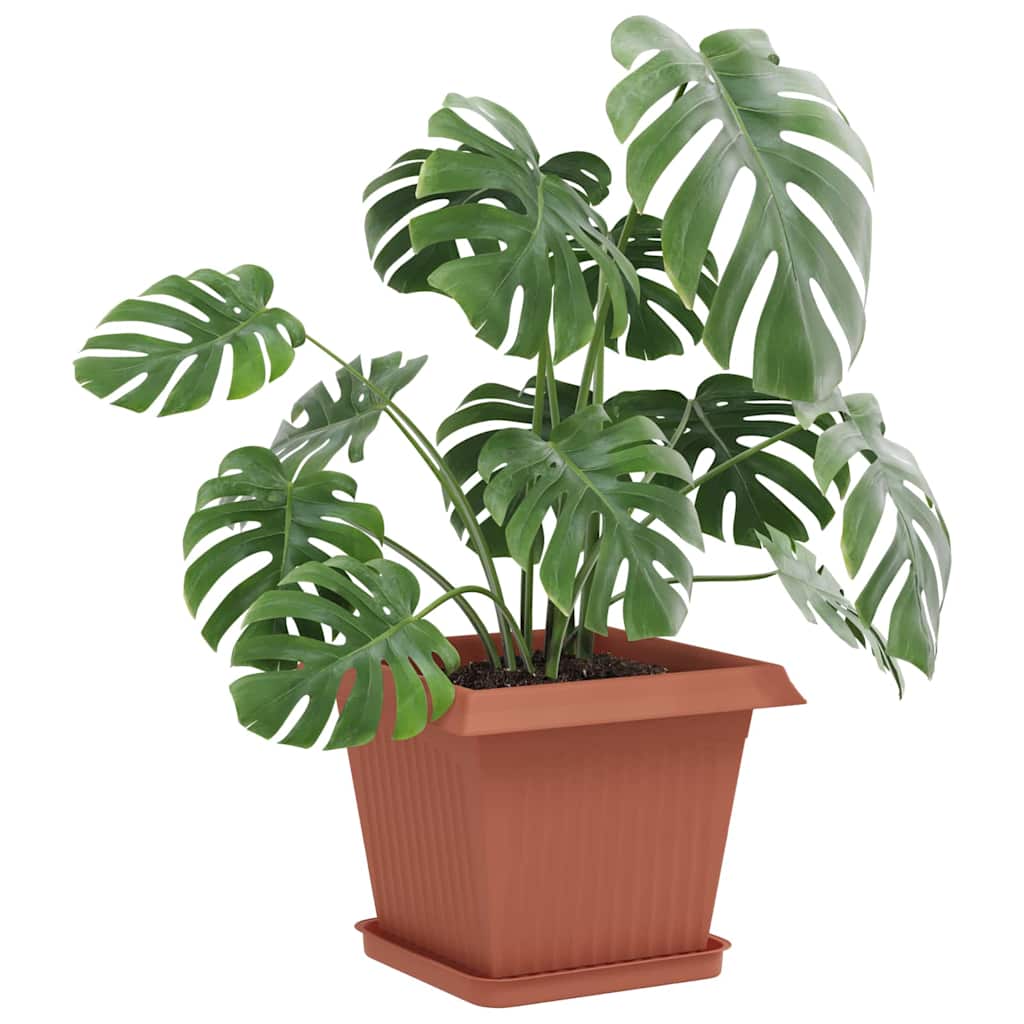 Vierkante Bloemenschotel 6 Pcs Kunststof