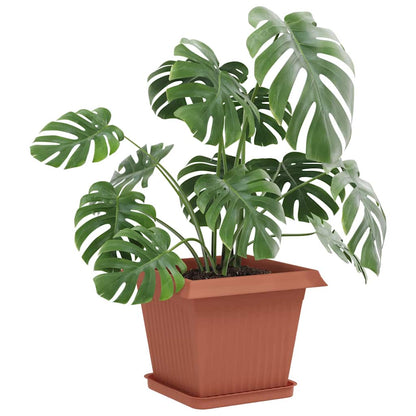 Vierkante Bloemenschotel 6 Pcs Kunststof