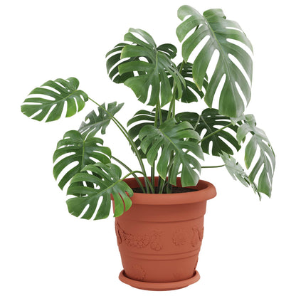 Plantenpotten 6 Pcs Ø 30 X 25 Cm Kunststof