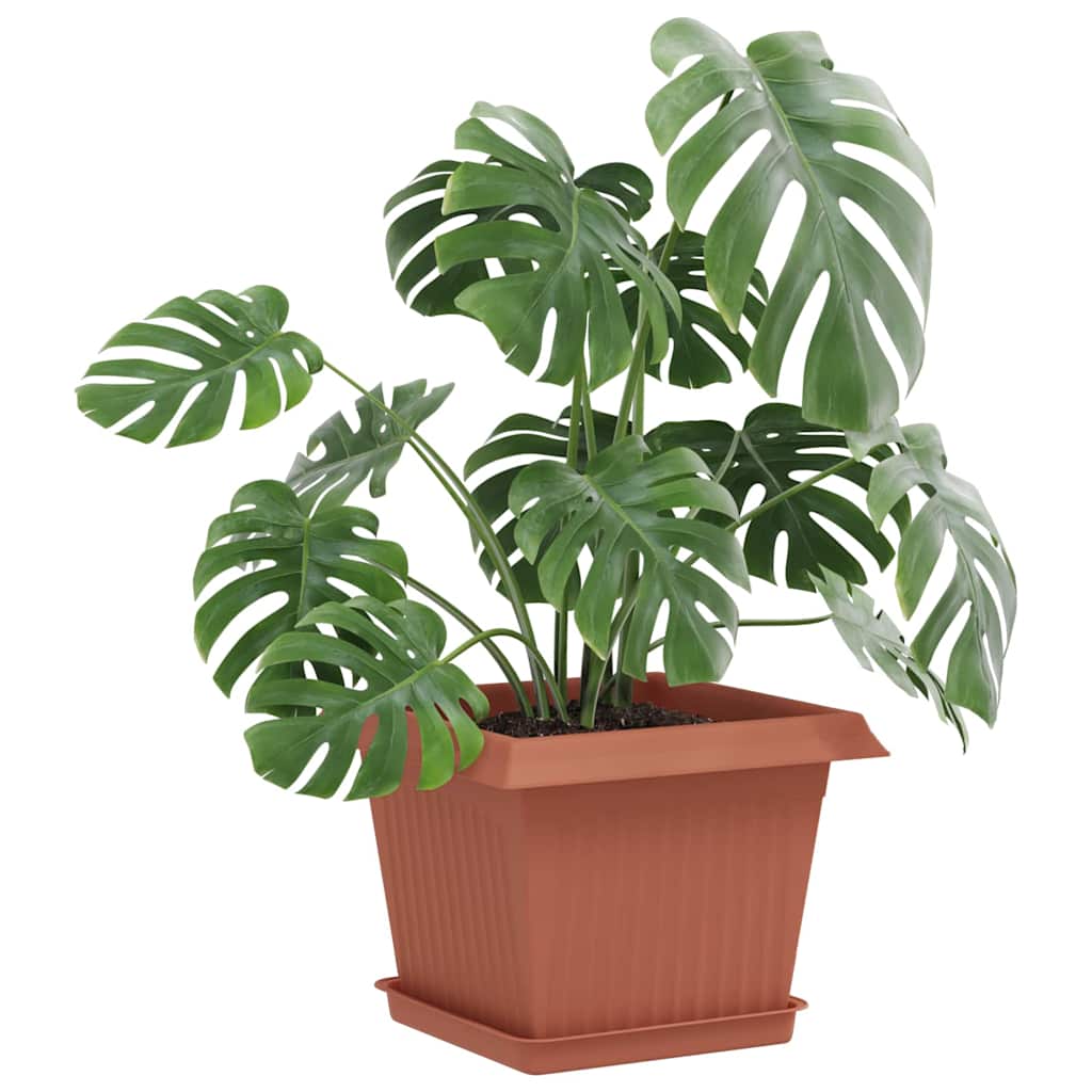Plantenpotten 6 Pcs 23 X 23 X 17,5 Cm Kunststof