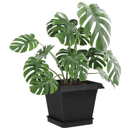 Plantenpotten 6 Pcs 20 X 20 X 16 Cm Kunststof