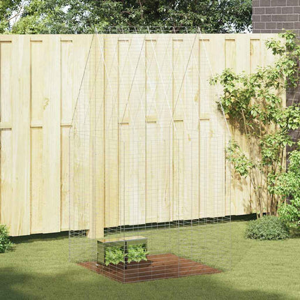 Konijnenkooi Zilver 200 X 100 X 210 Cm Gegalvaniseerd Staal