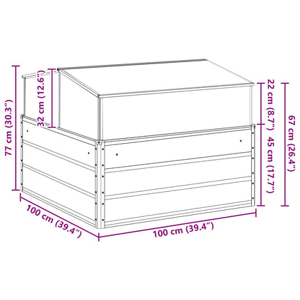 Plantenbak 100 X 100 X 77 Cm Gegalvaniseerd Staal