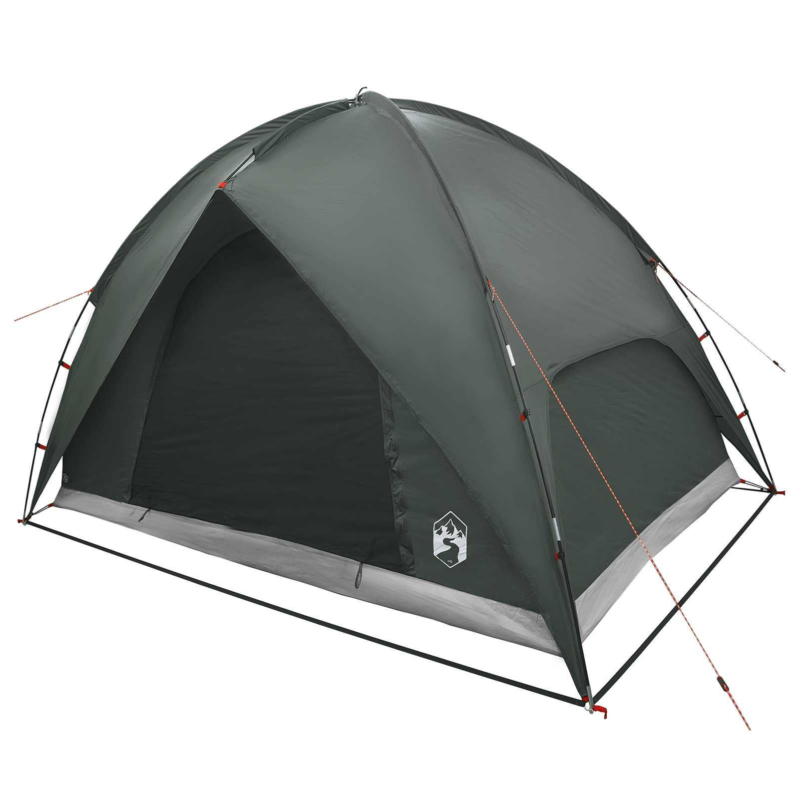 Camping Tent Met Regenhoes Waterdicht Koepel Legergroen