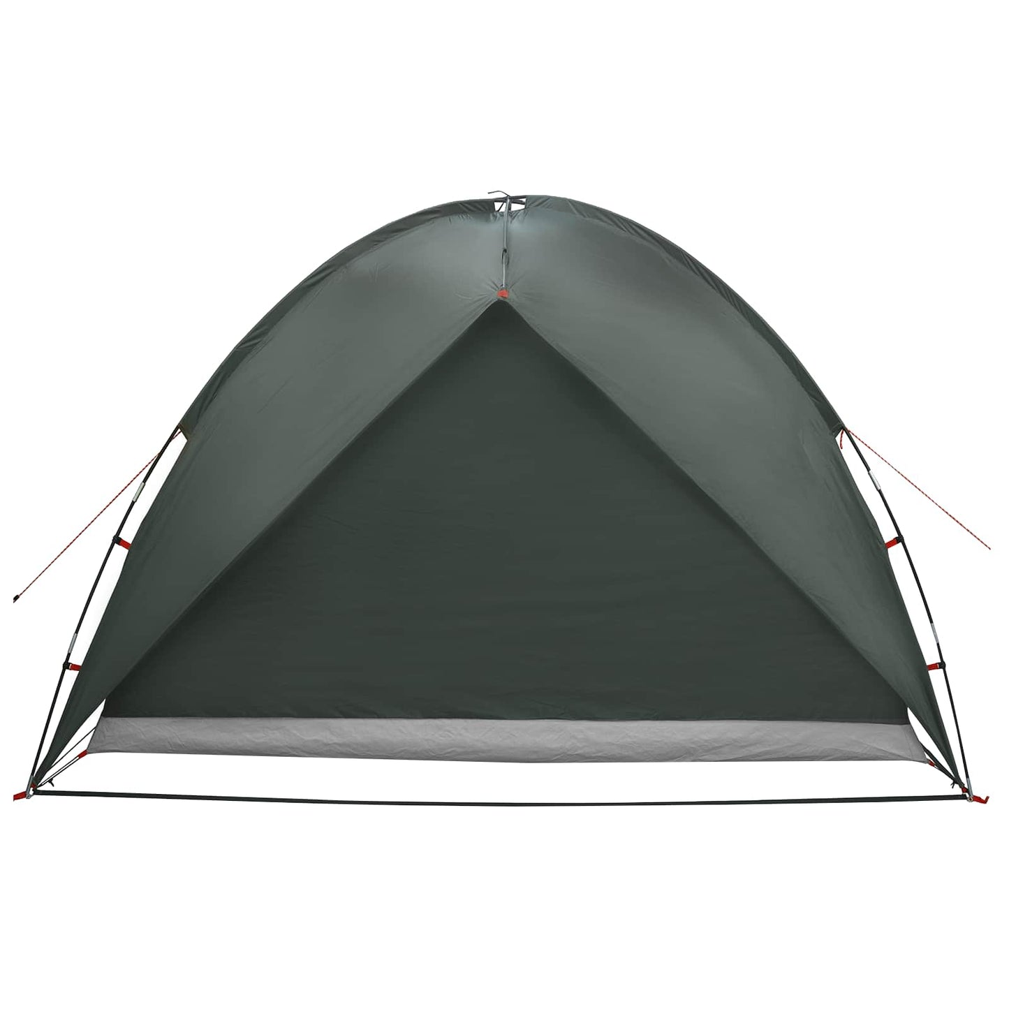 Camping Tent Met Regenhoes Waterdicht Koepel Legergroen