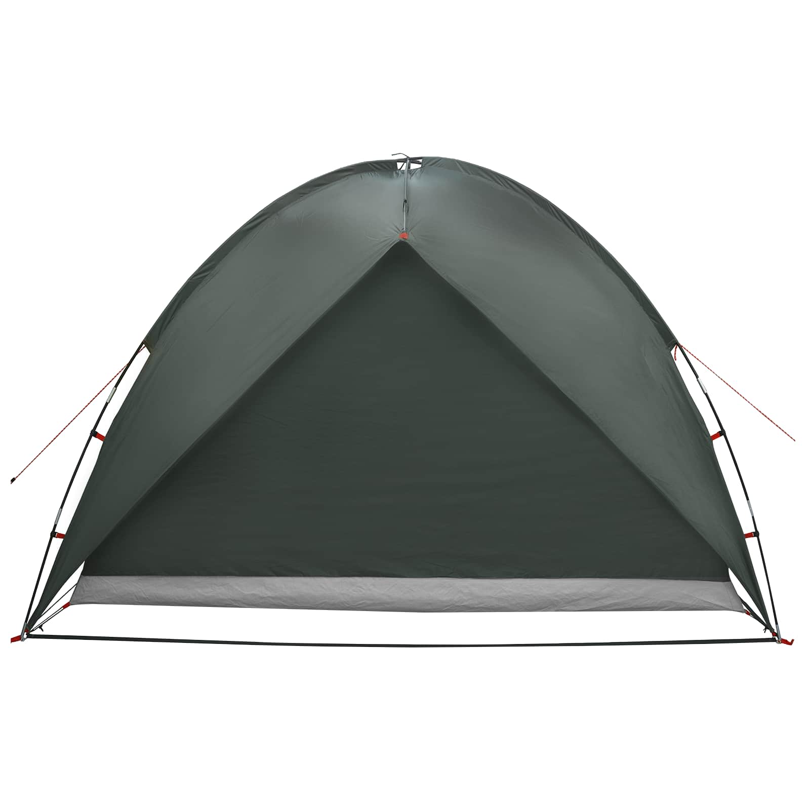 Camping Tent Met Regenhoes Waterdicht Koepel Legergroen