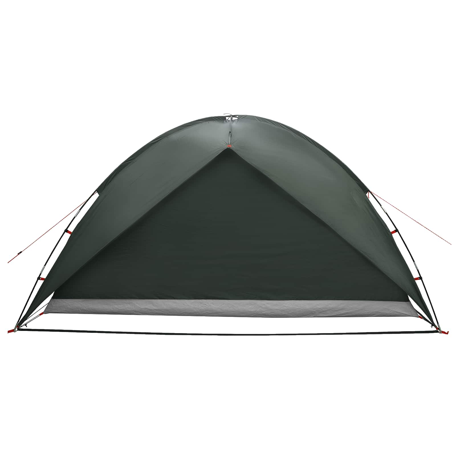 Camping Tent Met Regenhoes Waterdicht Koepel Legergroen