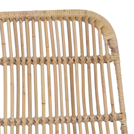 Eetkamerstoel 2 Pcs 41 X 55 X 85 Cm Rattan En Staal