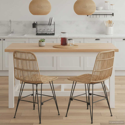 Eetkamerstoel 2 Pcs 41 X 55 X 85 Cm Rattan En Staal