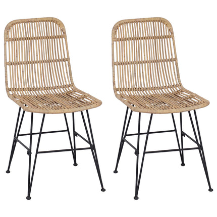 Eetkamerstoel 2 Pcs 41 X 55 X 85 Cm Rattan En Staal