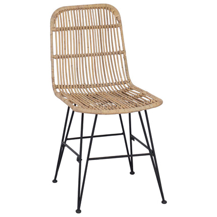 Eetkamerstoel 2 Pcs 41 X 55 X 85 Cm Rattan En Staal