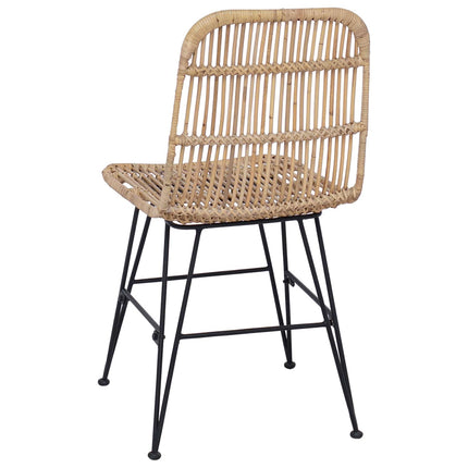 Eetkamerstoel 2 Pcs 41 X 55 X 85 Cm Rattan En Staal