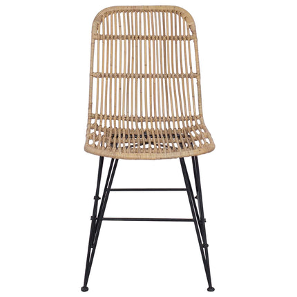 Eetkamerstoel 2 Pcs 41 X 55 X 85 Cm Rattan En Staal