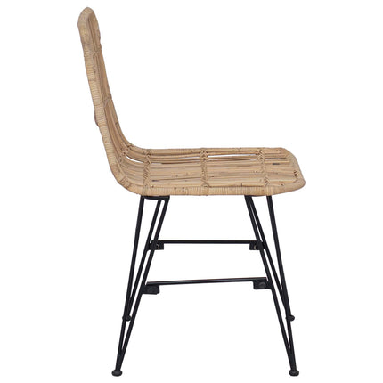 Eetkamerstoel 2 Pcs 41 X 55 X 85 Cm Rattan En Staal
