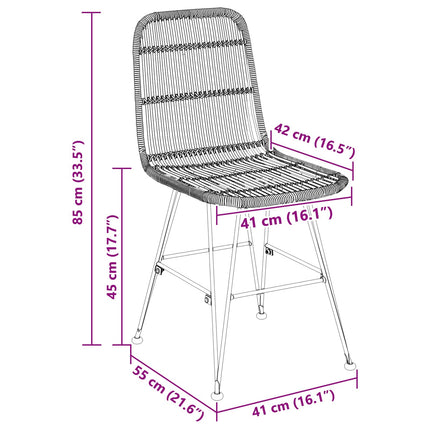 Eetkamerstoel 2 Pcs 41 X 55 X 85 Cm Rattan En Staal