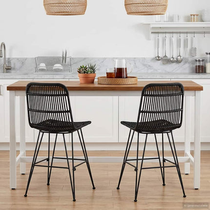 Eetkamerstoel 2 Pcs 41 X 55 X 85 Cm Rattan En Staal